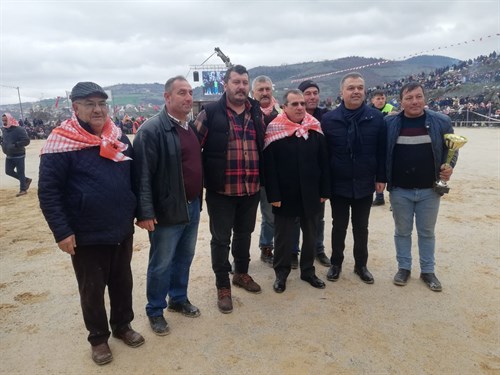 Çan Belediyesi Geleneksel Folklorik Deve Güreşleri Yapıldı